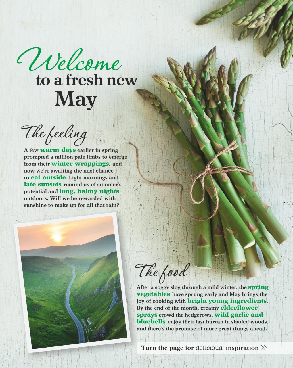 delicious. Magazine Preview Pages