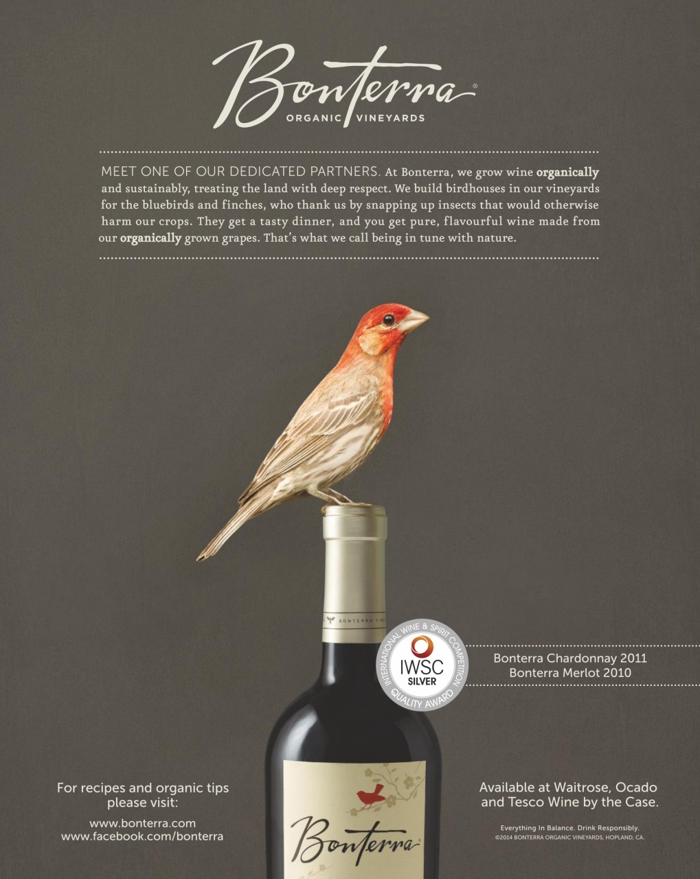 delicious. Magazine Preview Pages