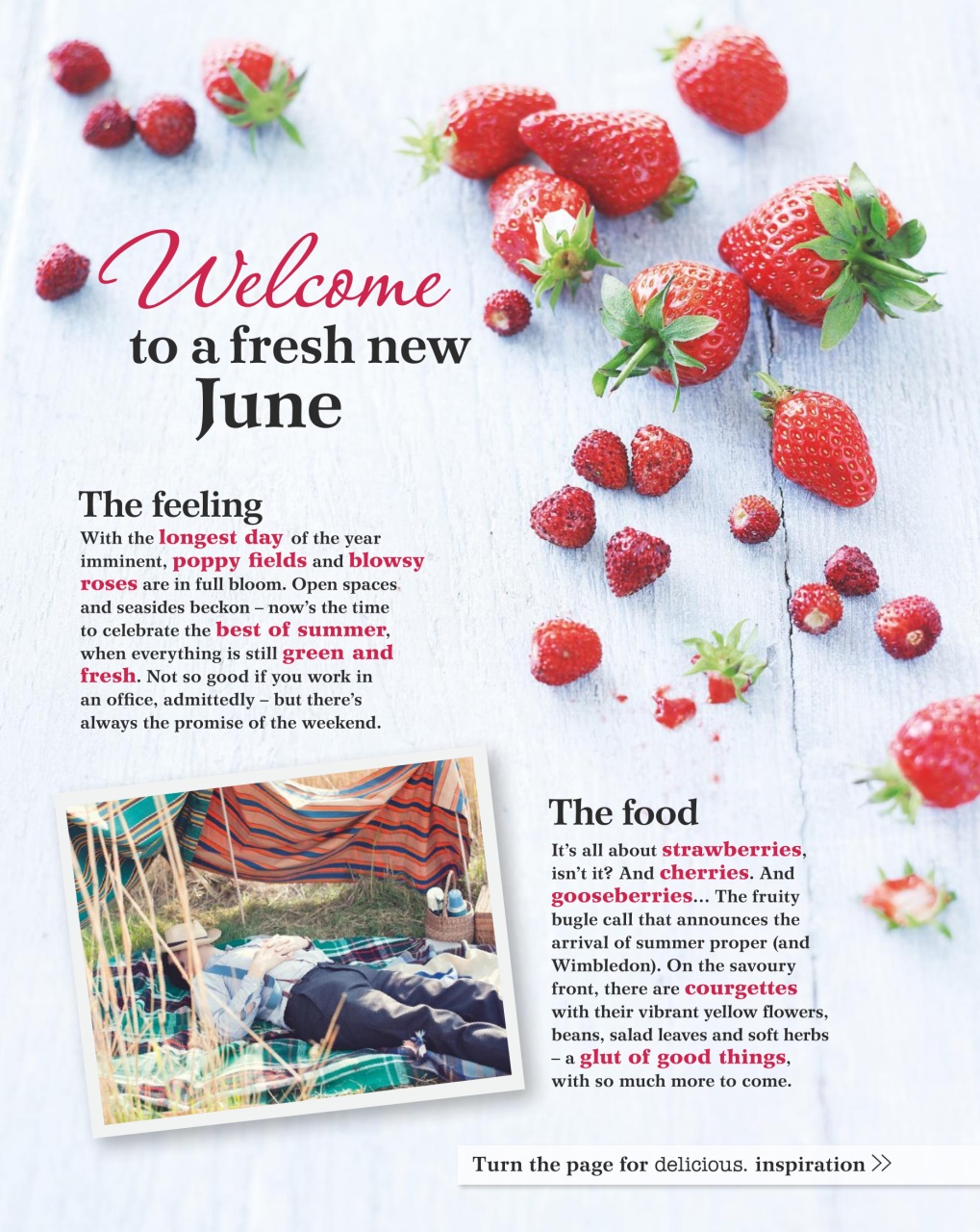 delicious. Magazine Preview Pages