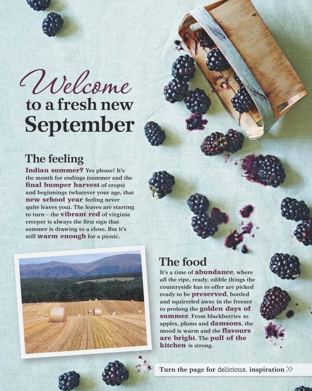 delicious. Magazine Preview Pages