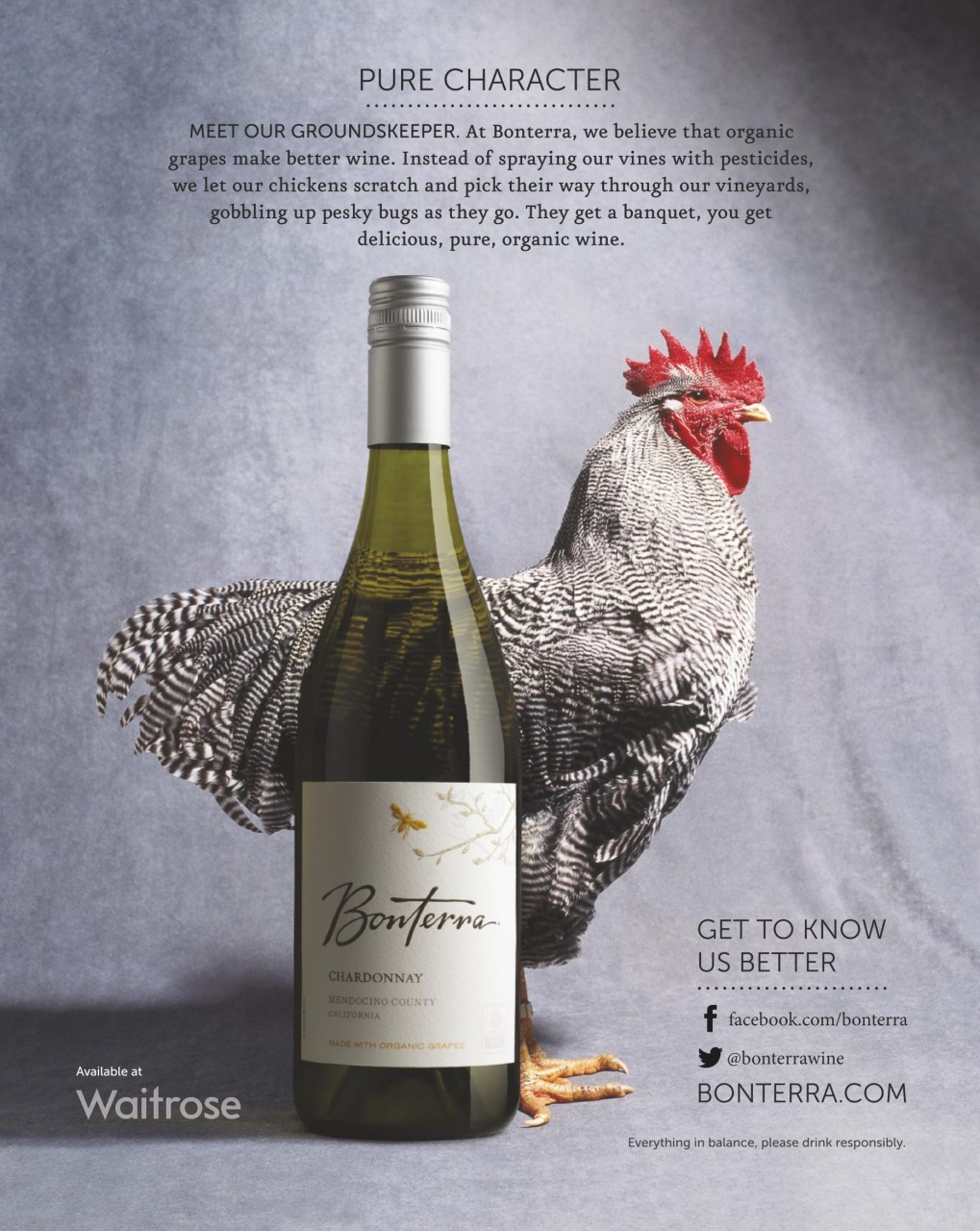 delicious. Magazine Preview Pages