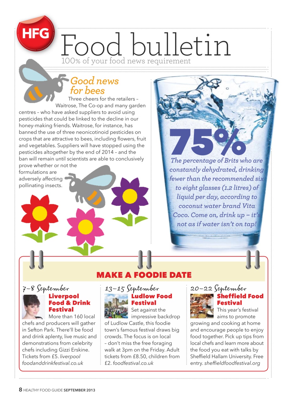 Healthy Food Guide Preview Pages