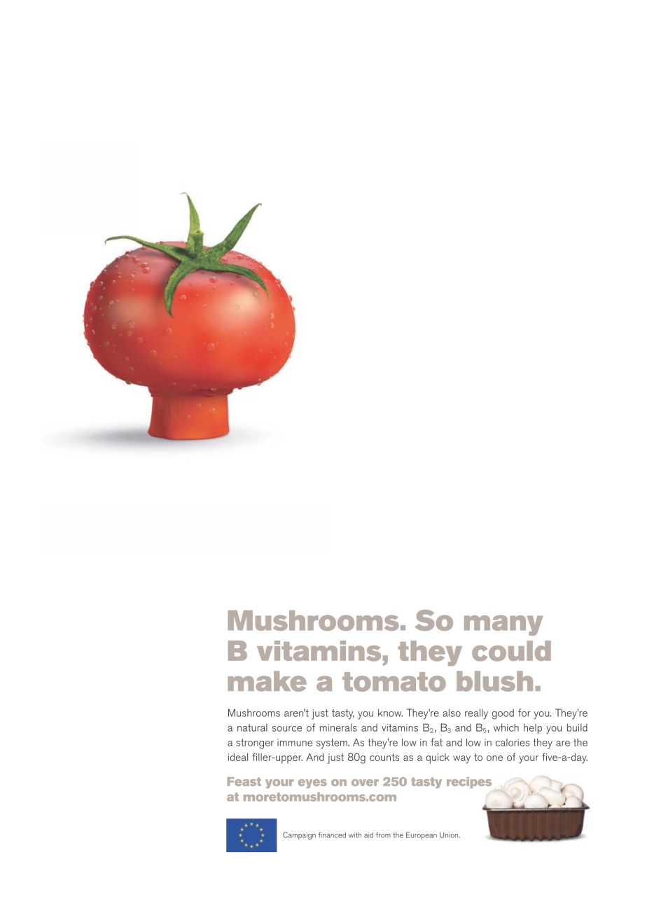 Healthy Food Guide Preview Pages