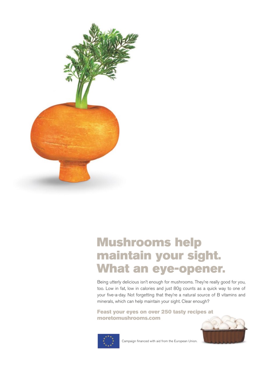 Healthy Food Guide Preview Pages