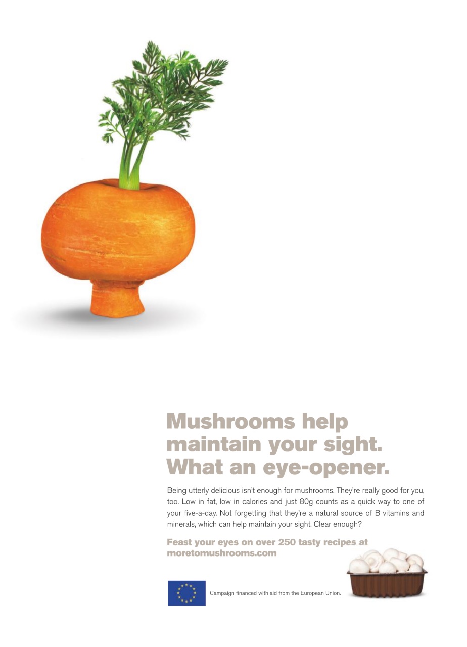 Healthy Food Guide Preview Pages