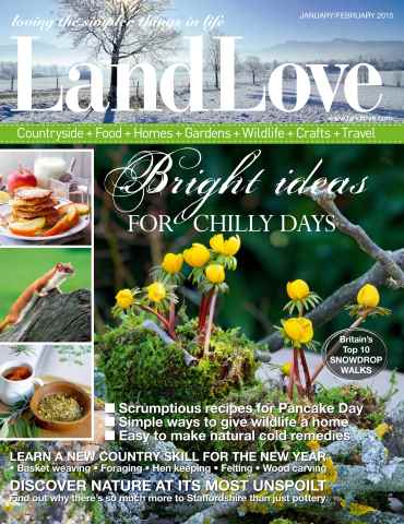 LandLove Magazine issue January/February 2015