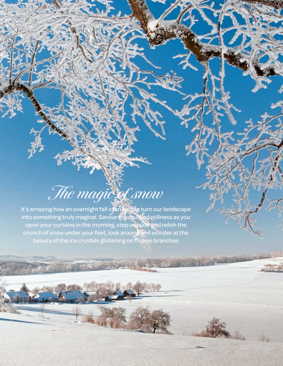 LandLove Magazine Preview Pages