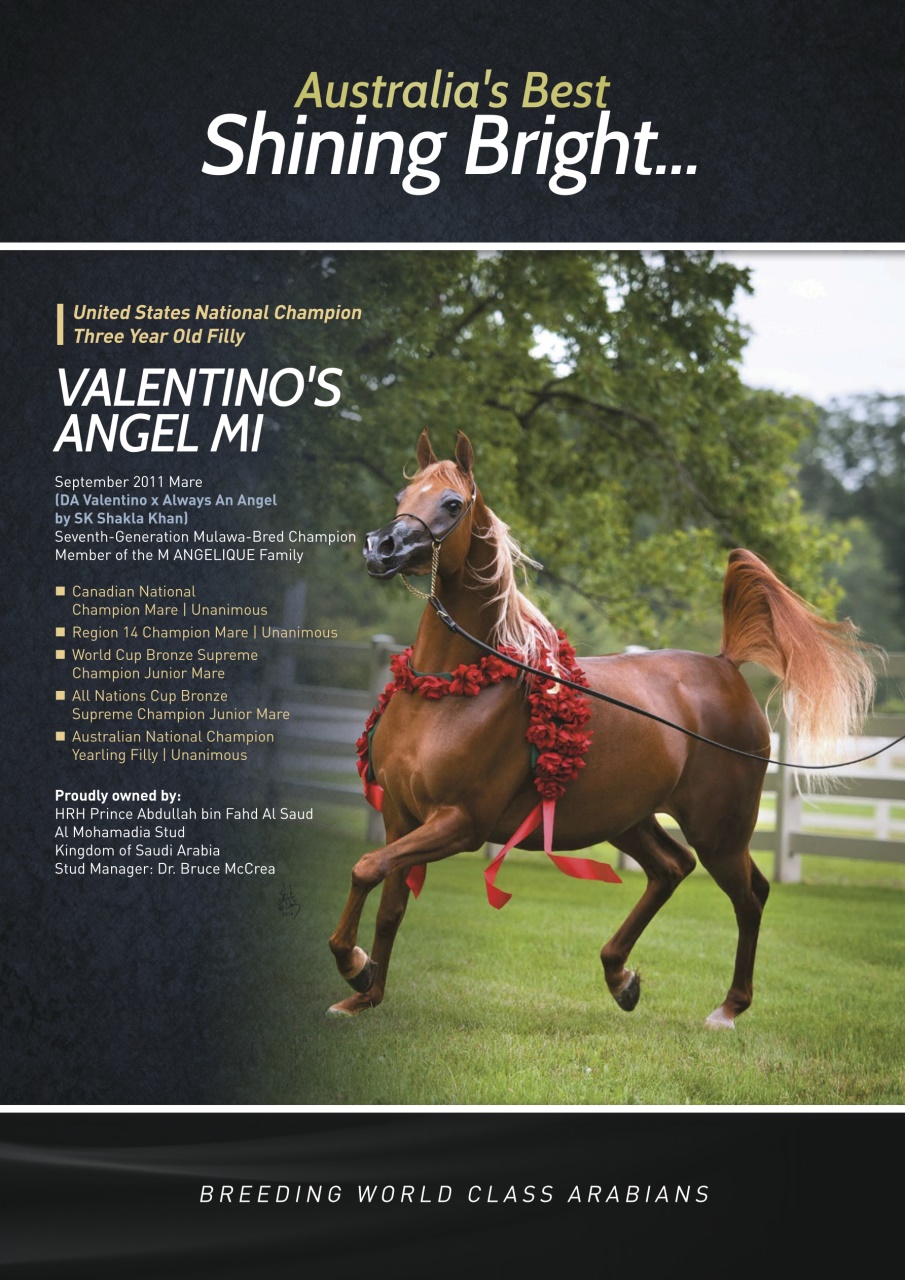 Australian Arabian Horse News Preview Pages