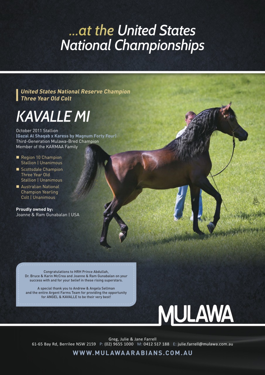 Australian Arabian Horse News Preview Pages