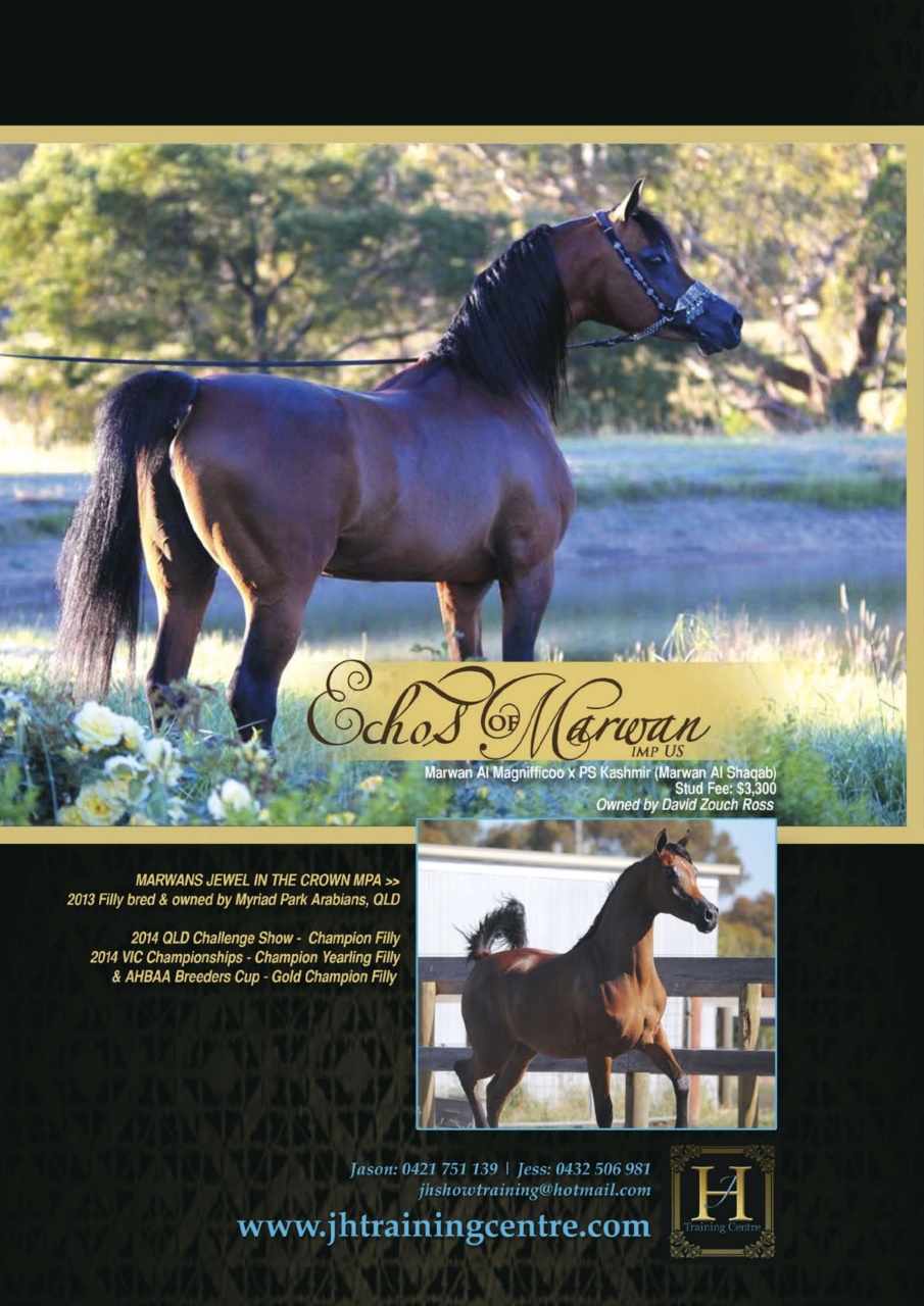 Australian Arabian Horse News Preview Pages
