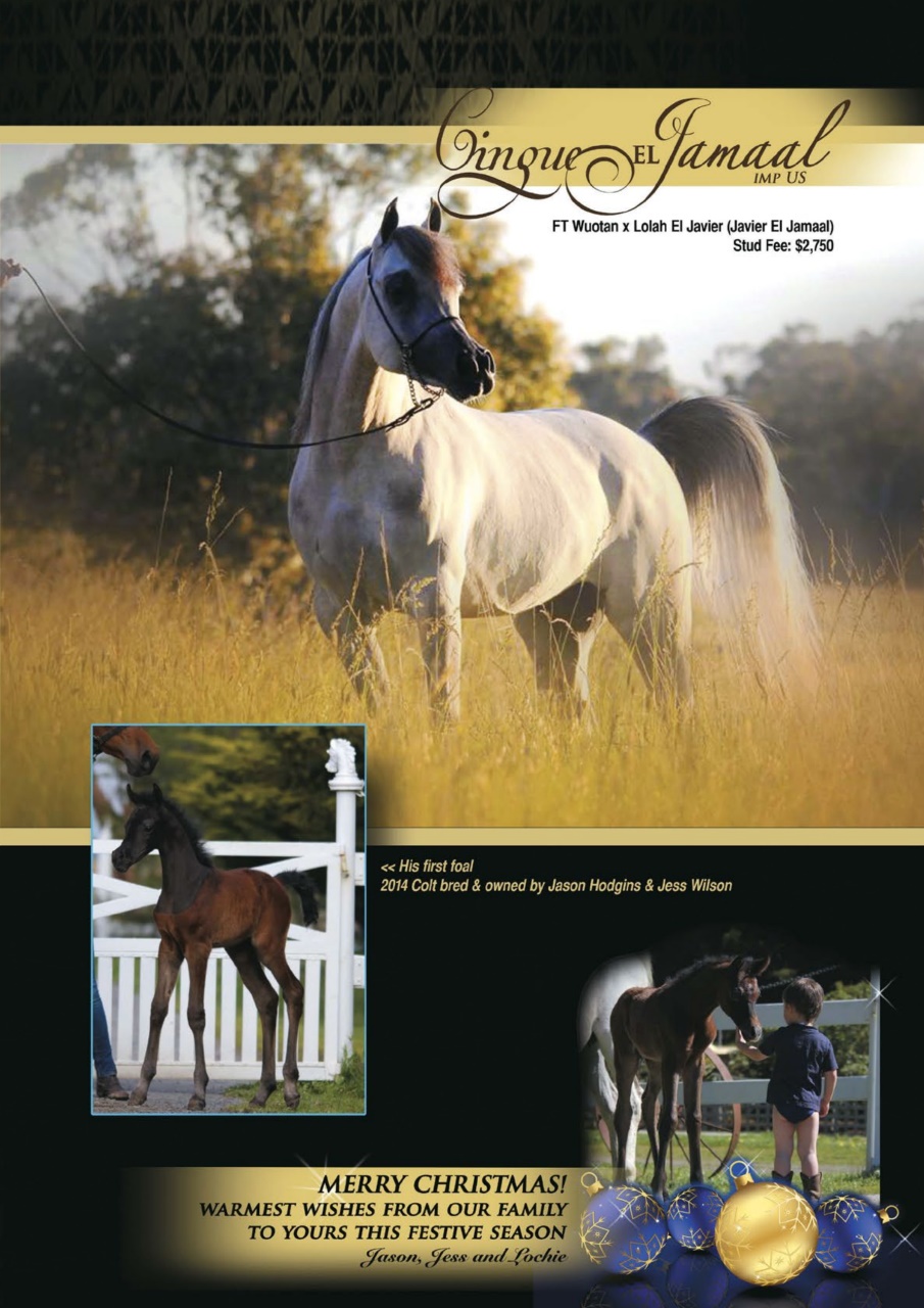 Australian Arabian Horse News Preview Pages