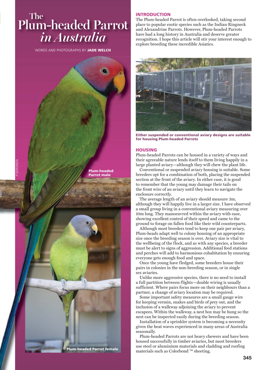 Australian Birdkeeper Magazine Preview Pages
