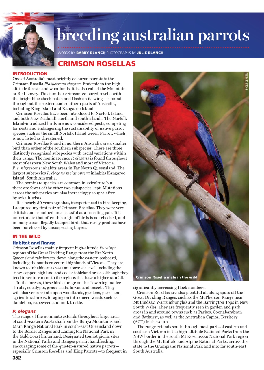 Australian Birdkeeper Magazine Preview Pages