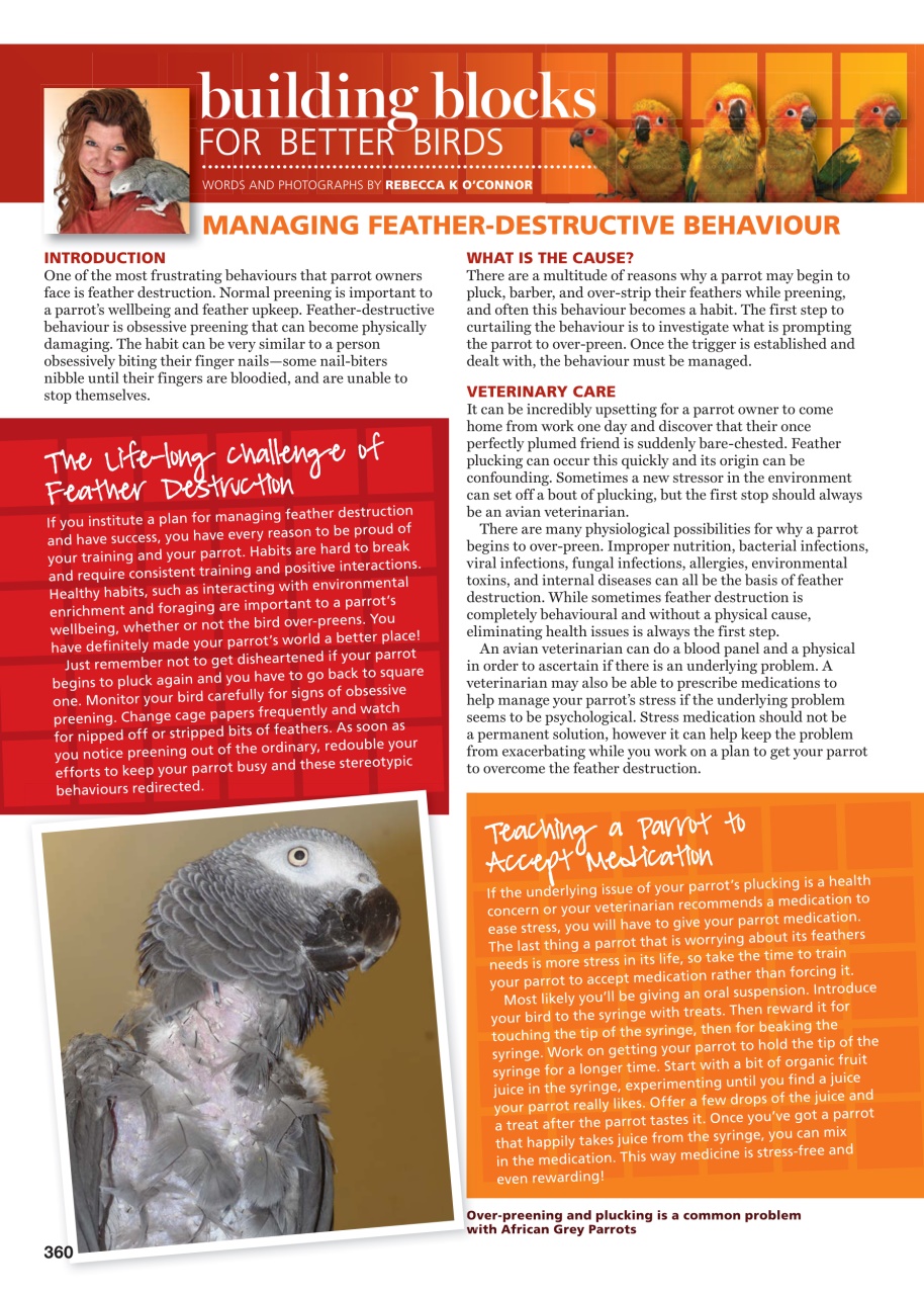 Australian Birdkeeper Magazine Preview Pages