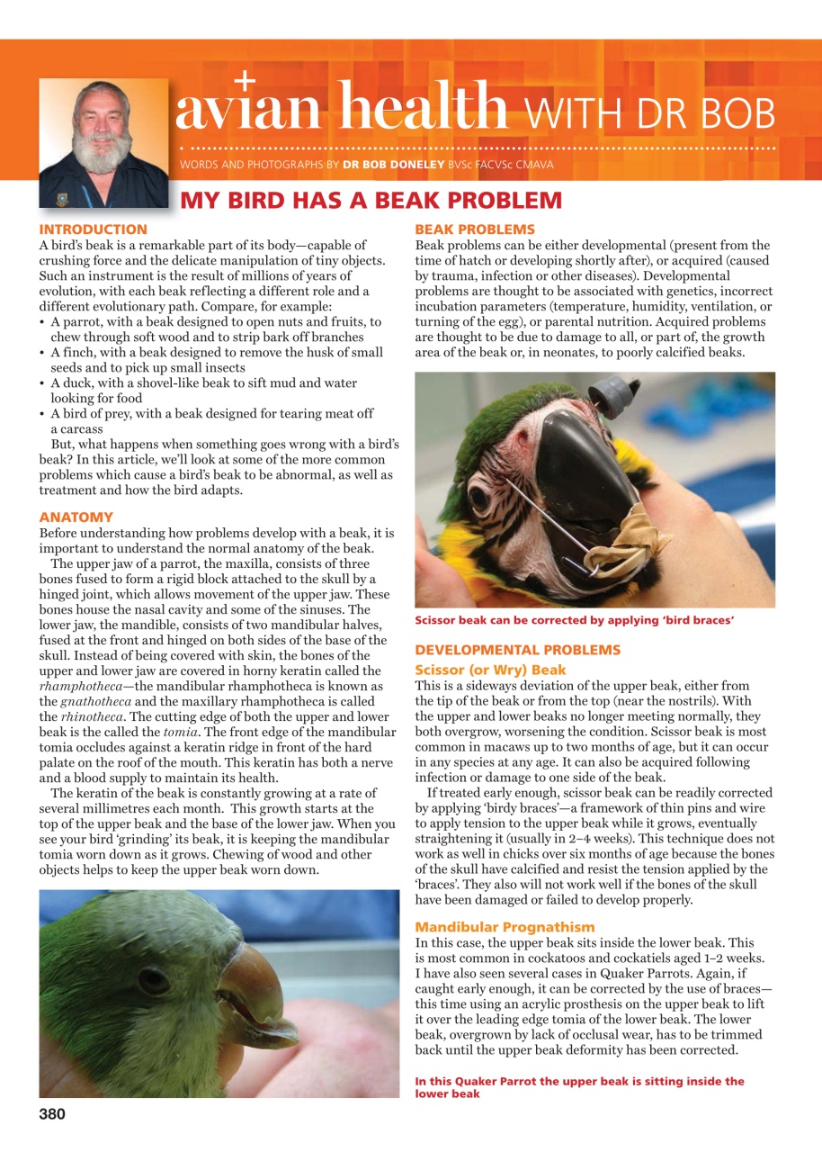 Australian Birdkeeper Magazine Preview Pages