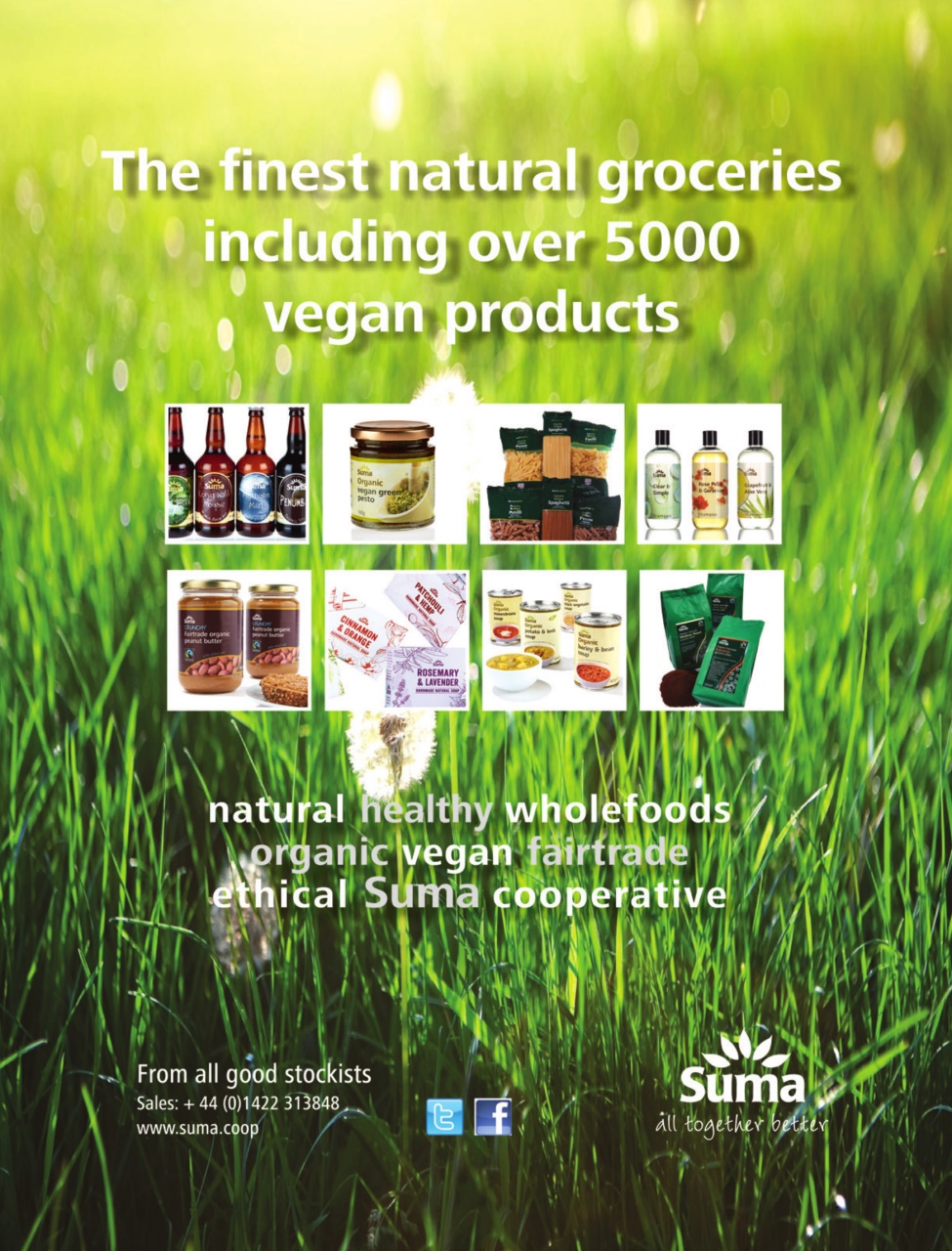 Vegan Life Preview Pages