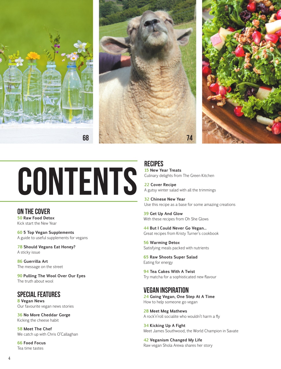 Vegan Life Preview Pages