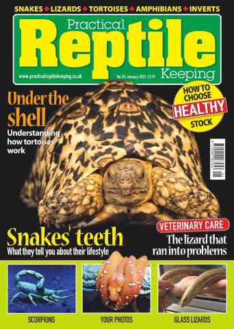 Practical Reptile Keeping issue No.70 Under the shell