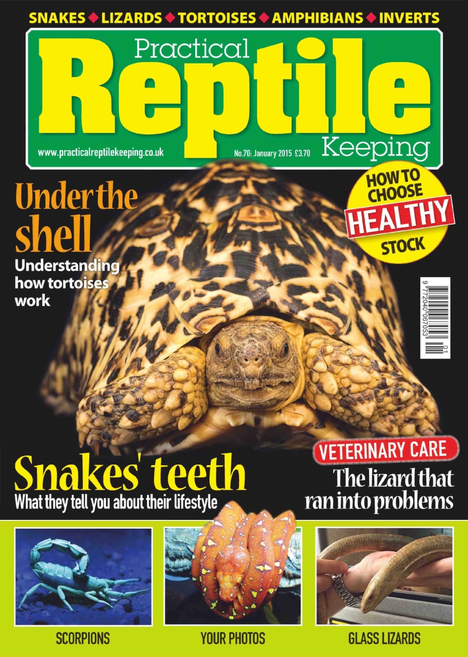 Practical Reptile Keeping Preview Pages