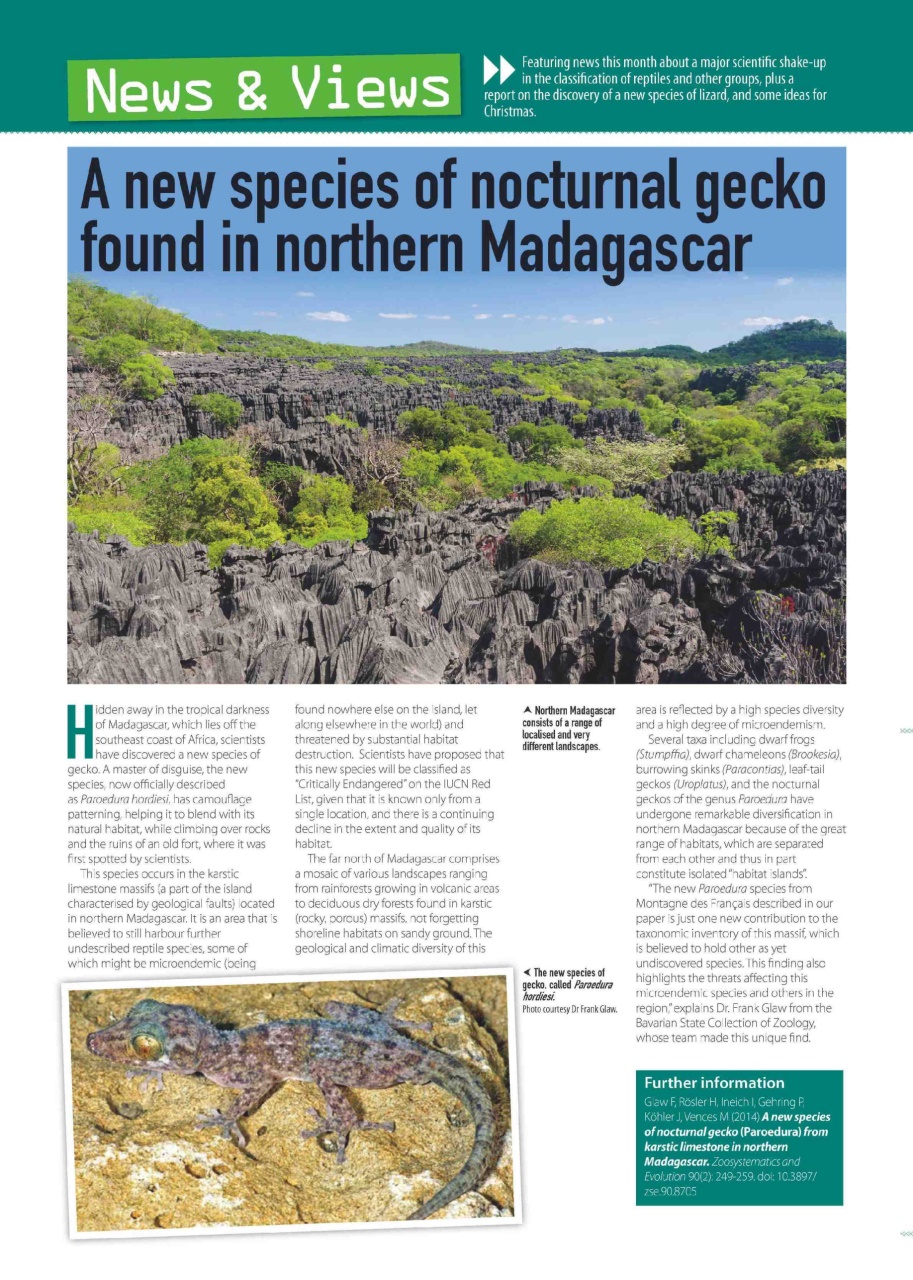 Practical Reptile Keeping Preview Pages