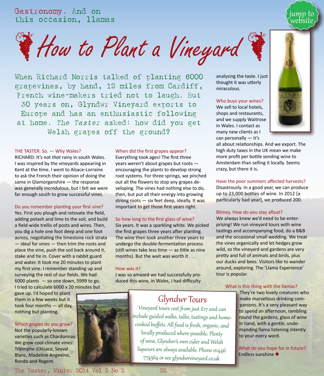 The Taster Magazine Preview Pages