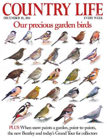 Country Life issue 10th December 2014