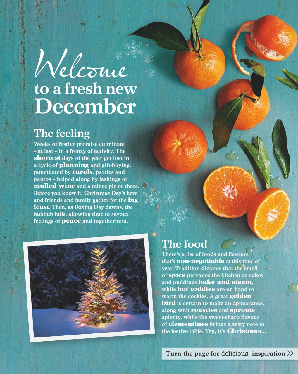 delicious. Magazine Preview Pages