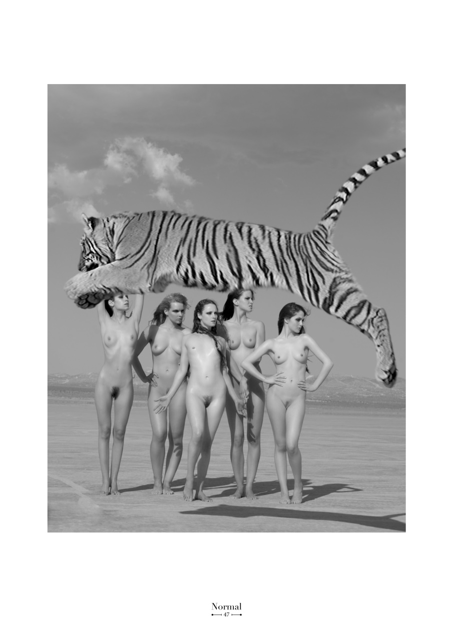 Normal Magazine Preview Pages