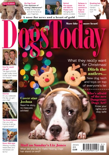 Dogs Today Magazine issue 