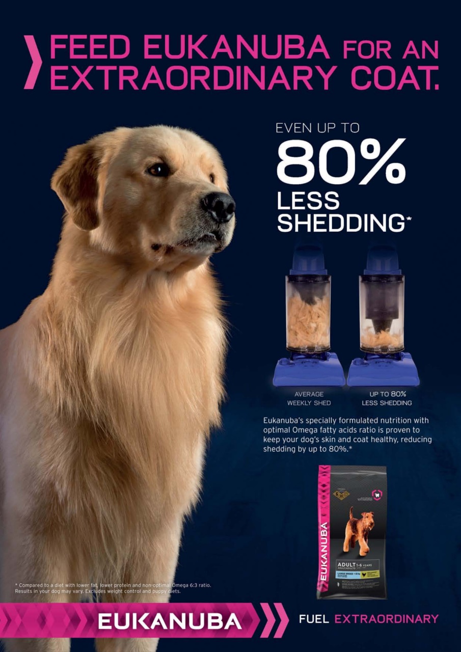 Dogs Today Magazine Preview Pages