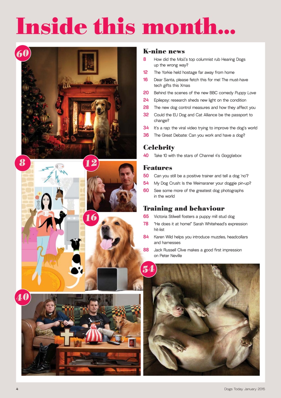 Dogs Today Magazine Preview Pages