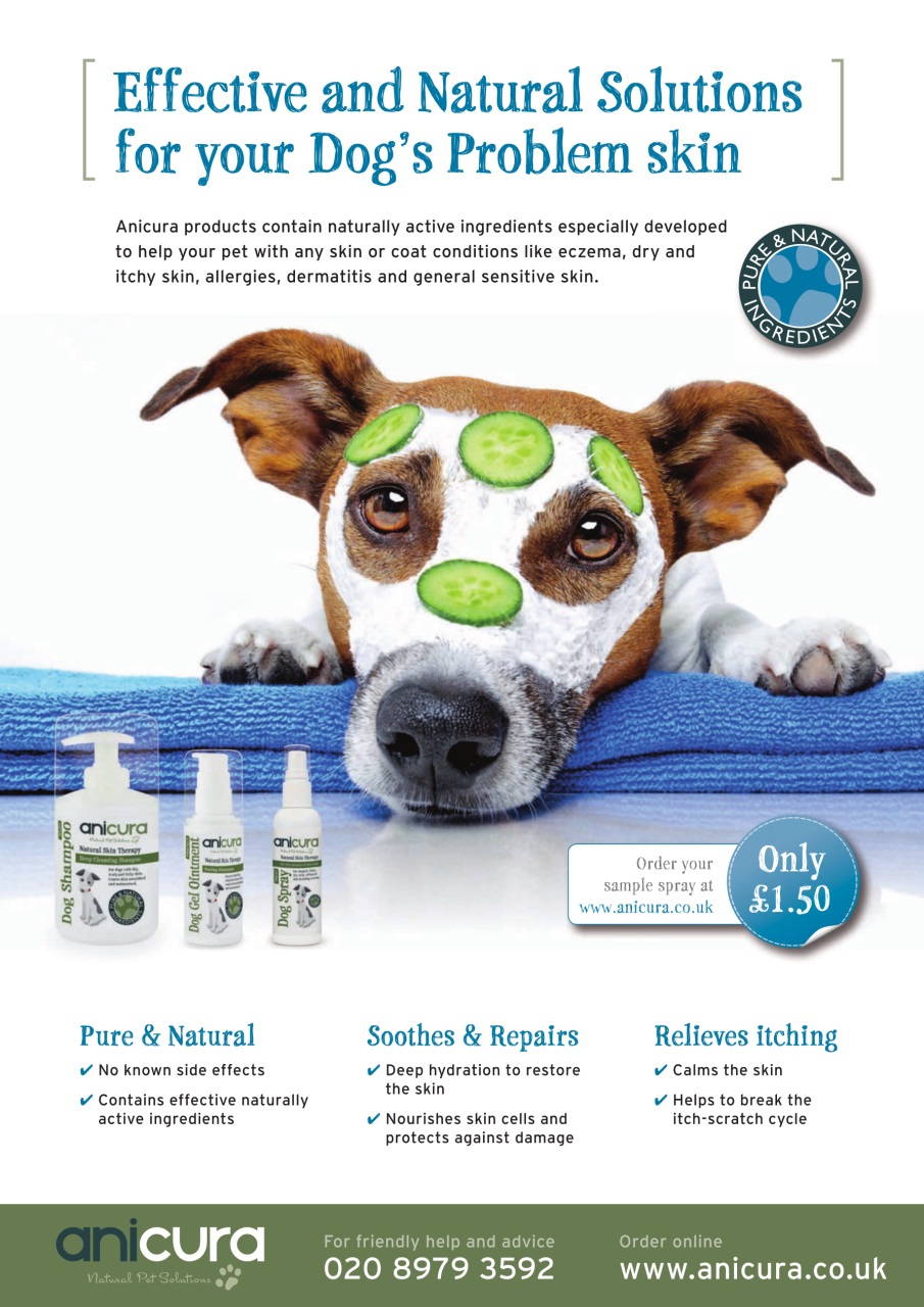 Dogs Today Magazine Preview Pages