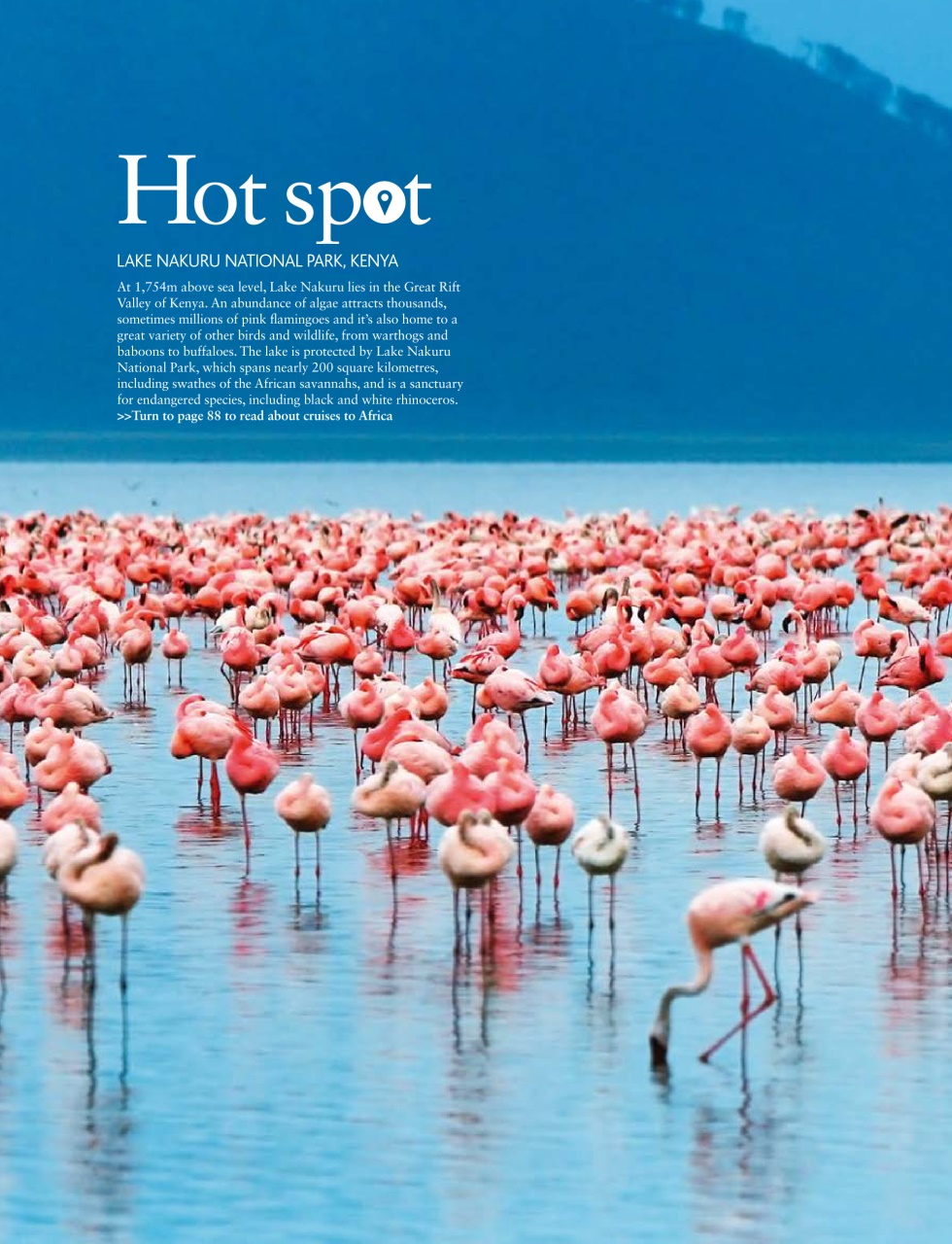Cruise & Travel Preview Pages