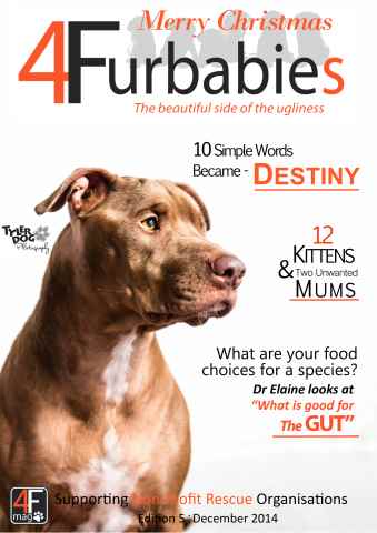 005 December 2014 issue 005 December 2014