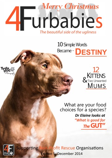 Mag 4 Furbabies issue 