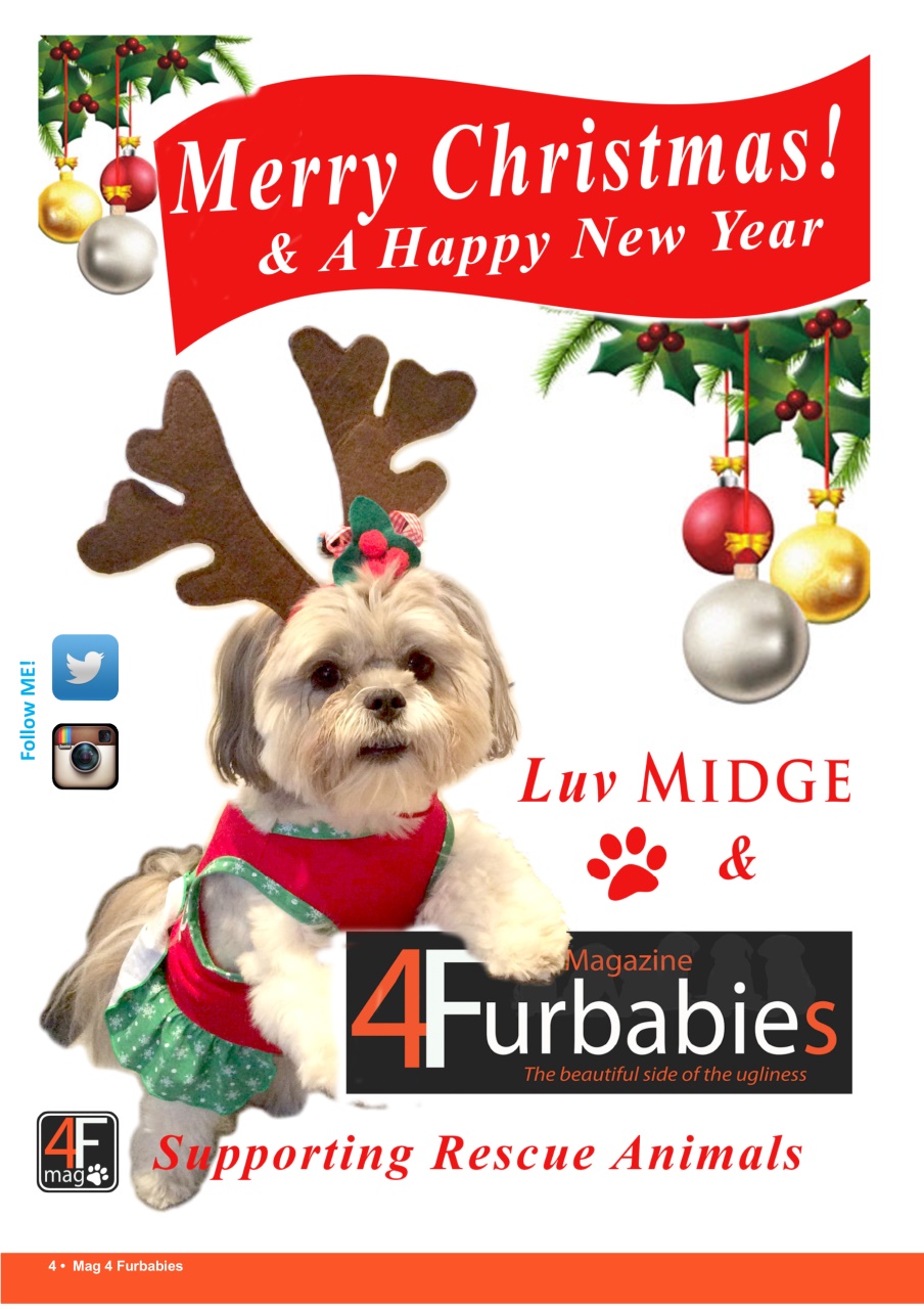 Mag 4 Furbabies Preview Pages