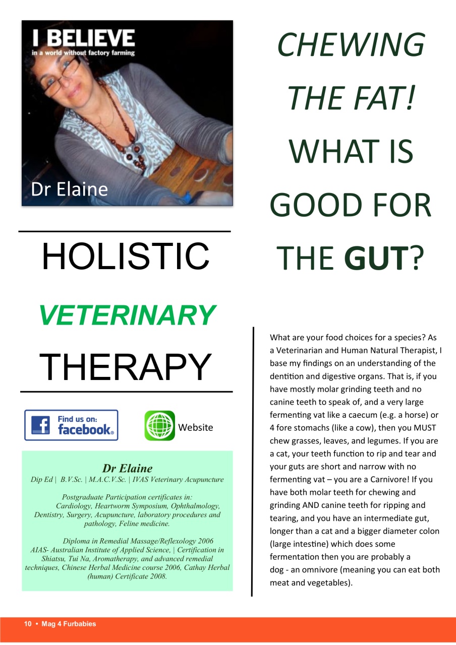 Mag 4 Furbabies Preview Pages