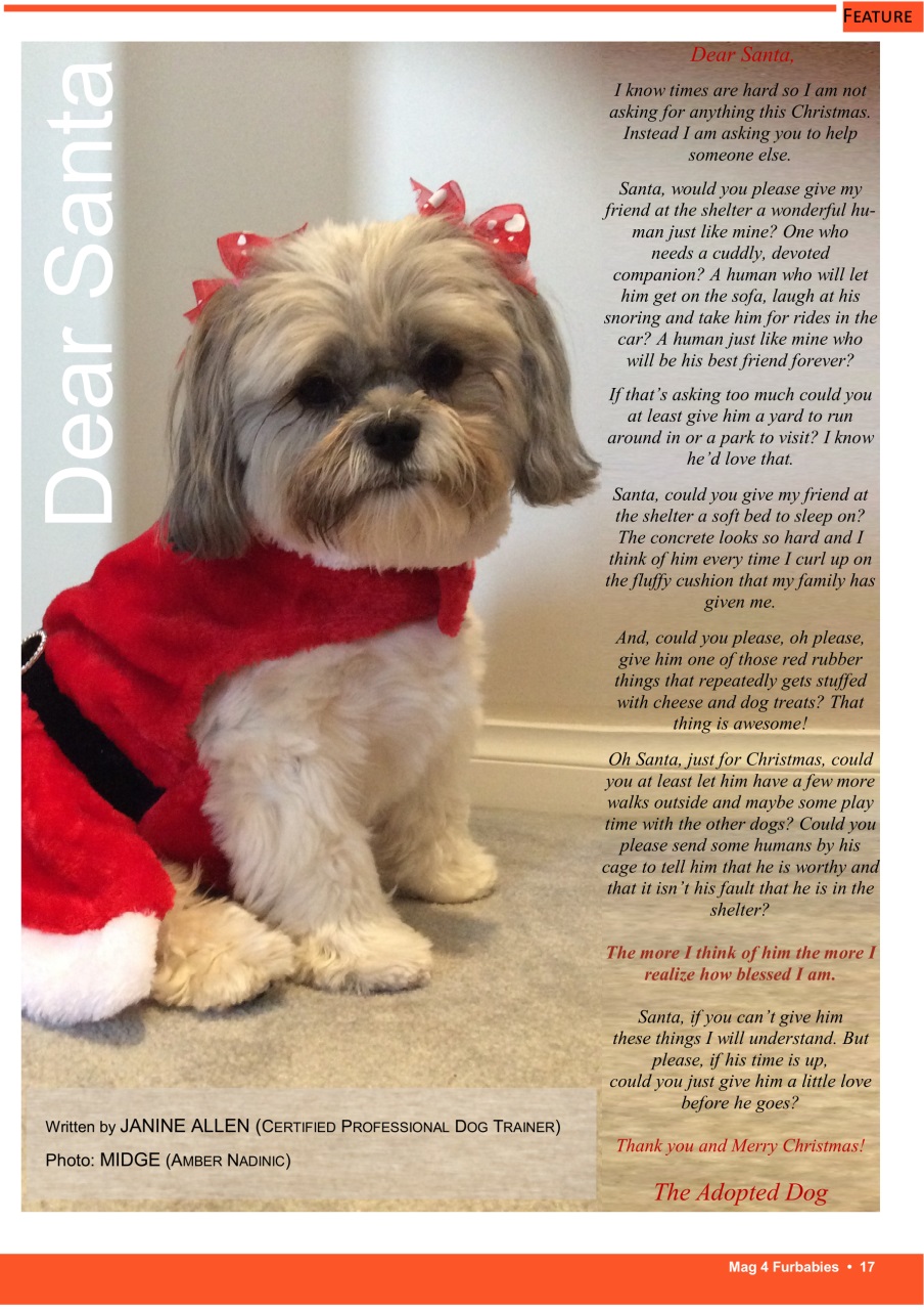 Mag 4 Furbabies Preview Pages