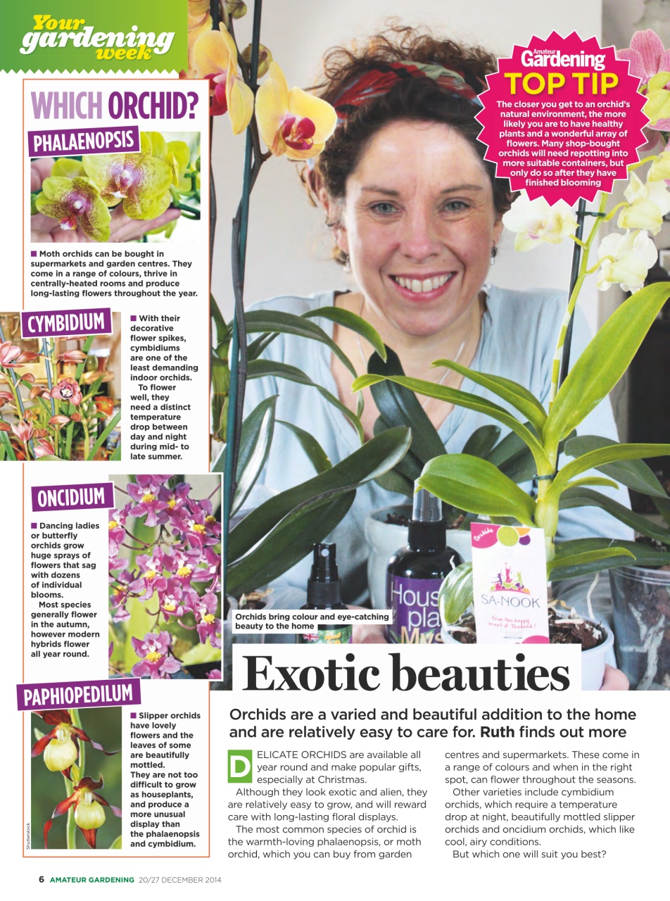 Amateur Gardening Preview Pages