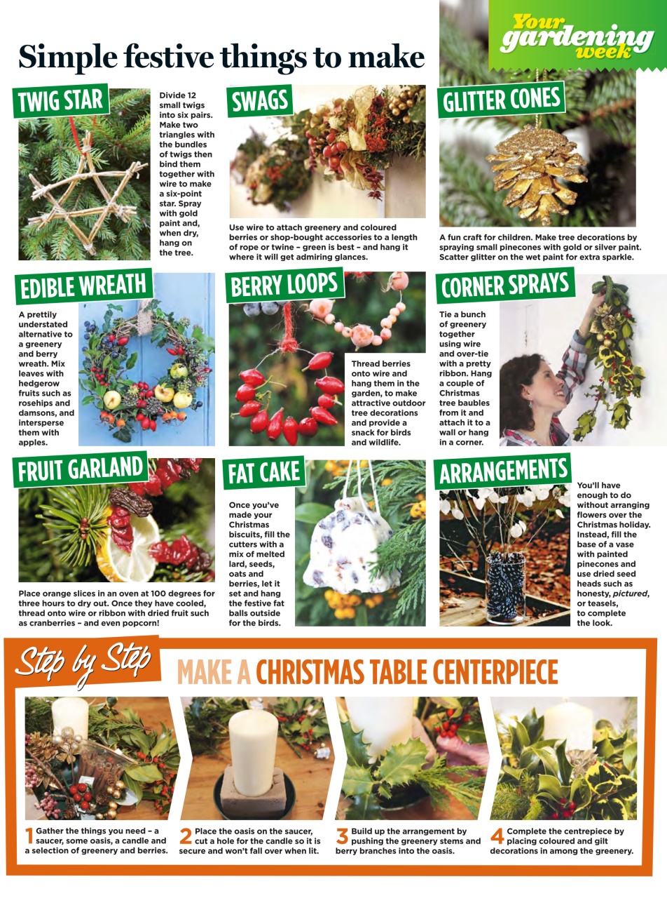 Amateur Gardening Preview Pages