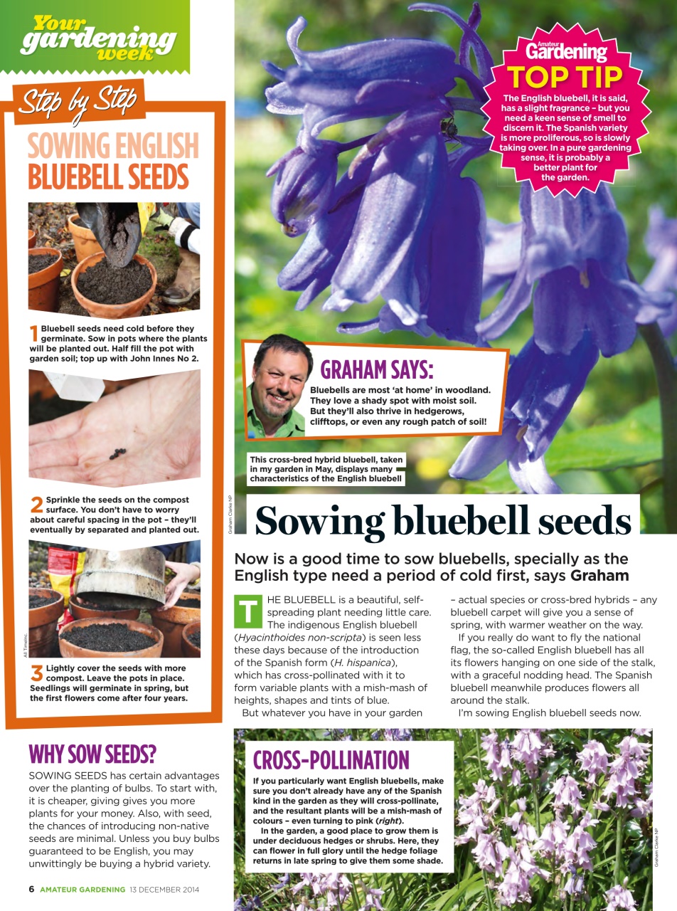 Amateur Gardening Preview Pages