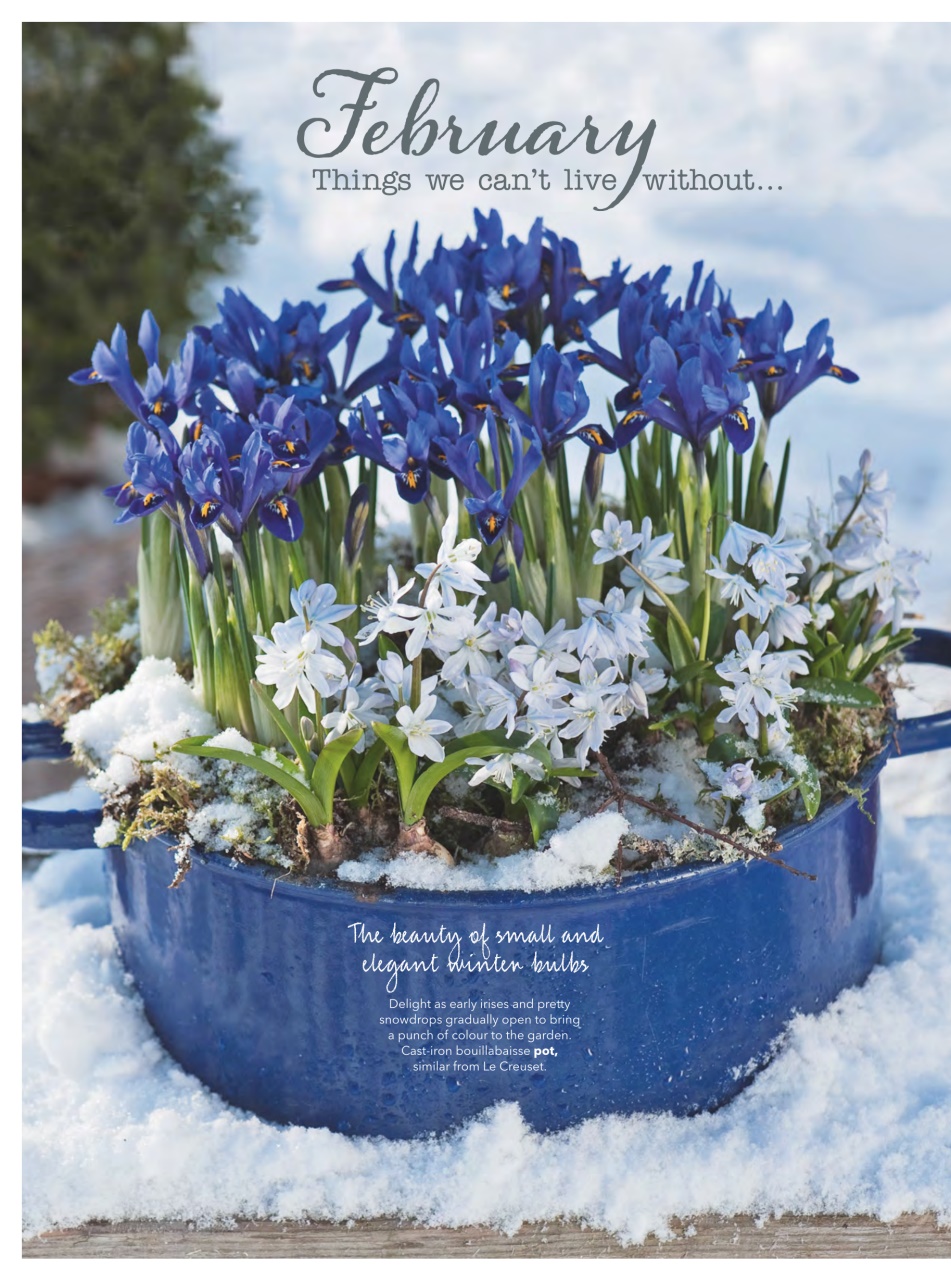 Country Homes & Interiors Preview Pages