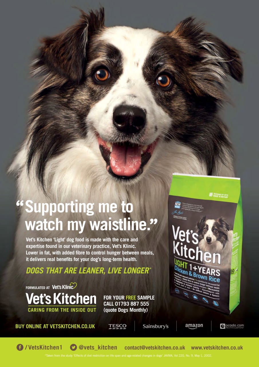Dogs Monthly Preview Pages