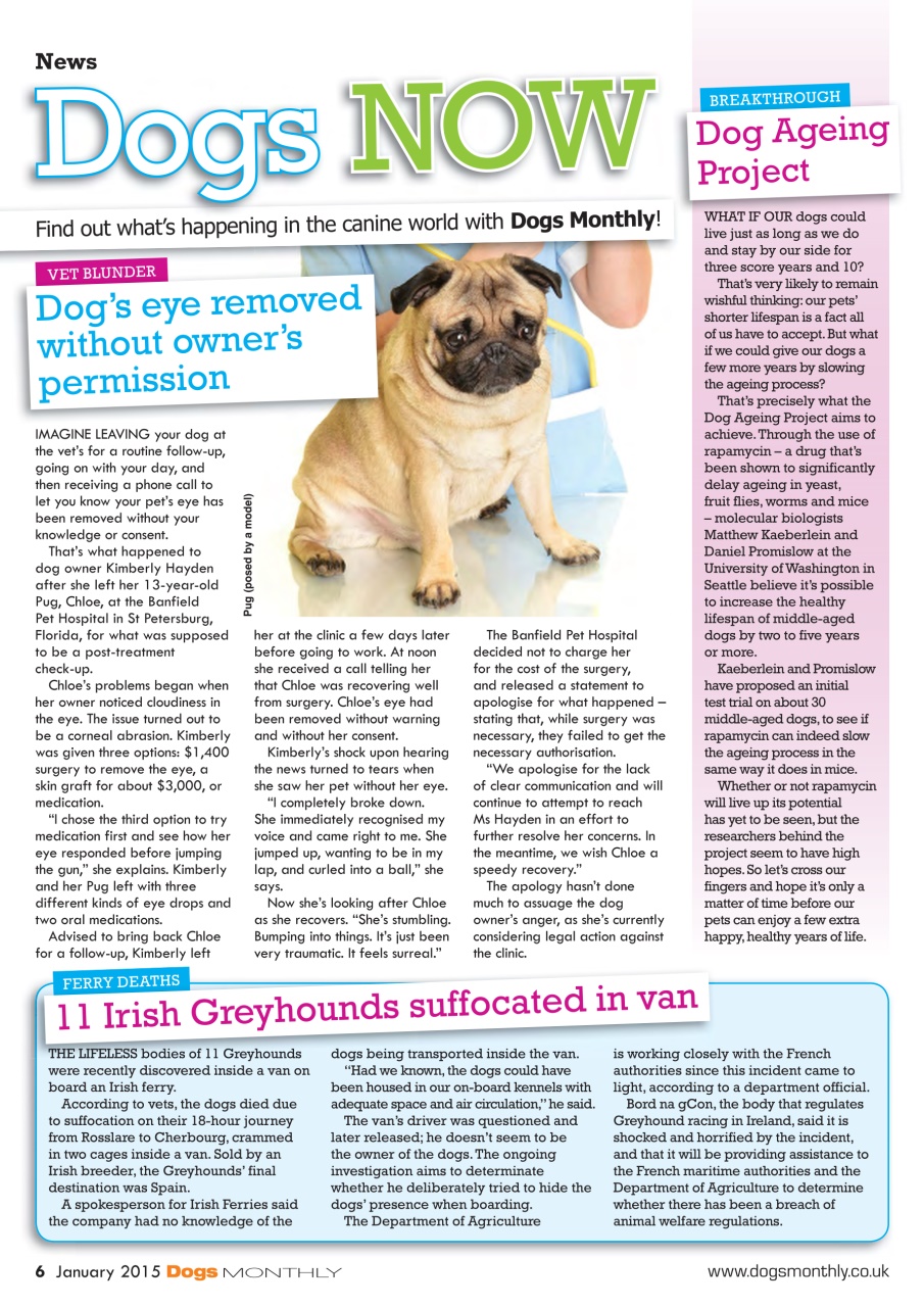Dogs Monthly Preview Pages