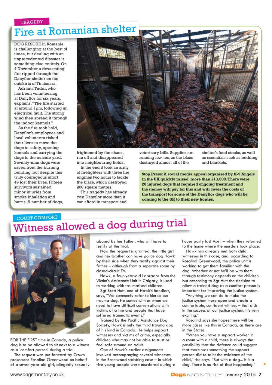 Dogs Monthly Preview Pages