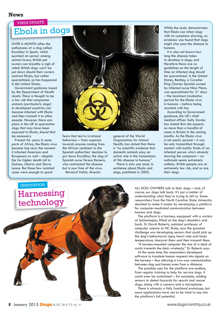 Dogs Monthly Preview Pages