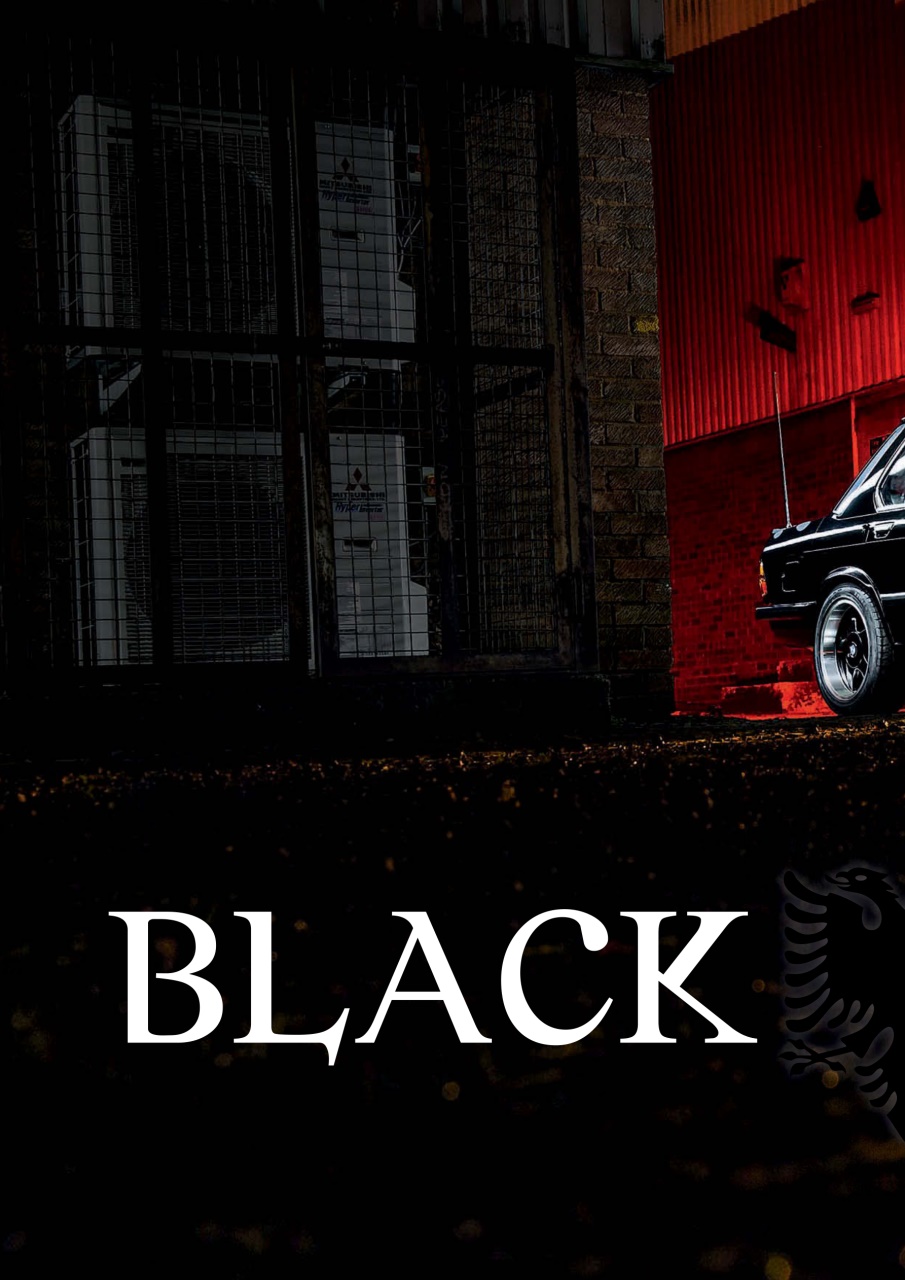 Performance BMW Preview Pages