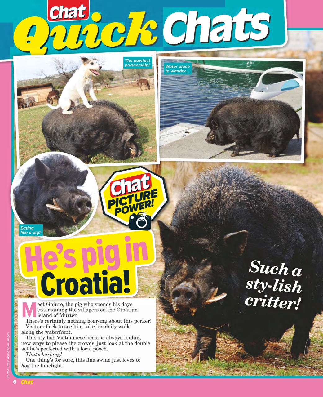 Chat Specials Preview Pages