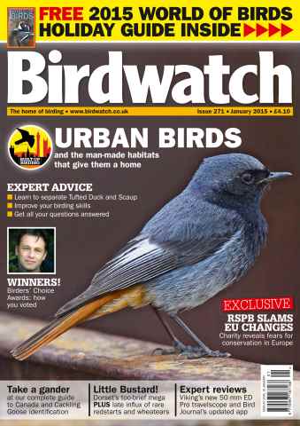 Birdwatch Magazine issue January 2015