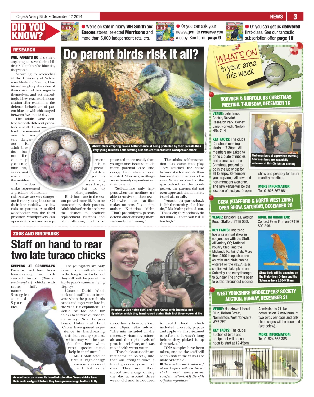 Cage & Aviary Birds Preview Pages